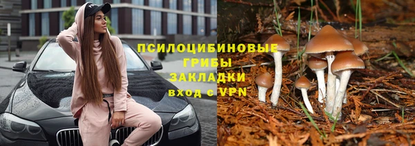 прущая мука Лихославль