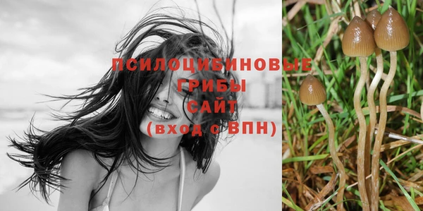 трава Липки
